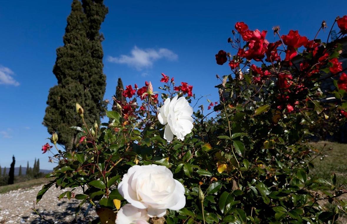 Agriturismo Il Ghiaccio Suvereto Εξωτερικό φωτογραφία